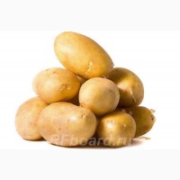 Продаем качественный семенной и продовольственный картофель