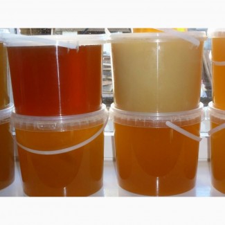 Мед алтайский (пробники бесплатно) более 10 видов
