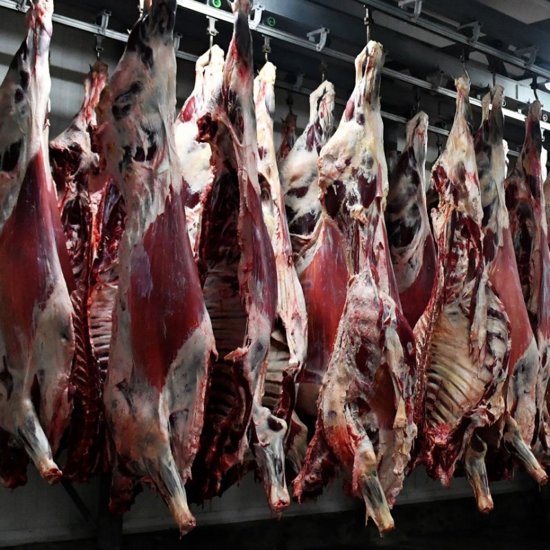 Фото 2. Говядина, свинина, мясо ЦБ, отгрузка в регионы