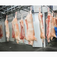 Мясо свинины, полутуши 1, 2, 4 кат. от производителя 175р./кг