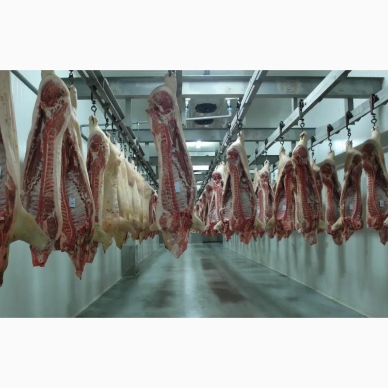 Фото 2. Мясо свинины, полутуши 1, 2, 4 кат. от производителя 175р./кг