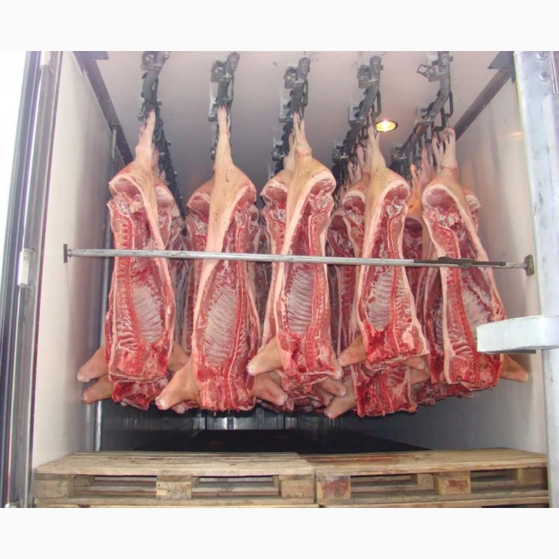 Фото 4. Мясо свинины, полутуши 1, 2, 4 кат. от производителя 175р./кг