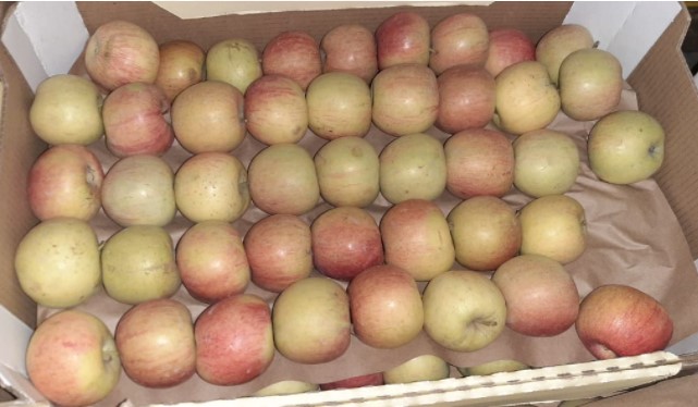 Яблоки Фуджи, сорт 2, калибр 55-65 от 10 тонн в картонном лотке 60х40, вес 13-15кг мытые