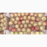 Яблоки Фуджи, сорт 2, калибр 55-65 от 10 тонн в картонном лотке 60х40, вес 13-15кг мытые