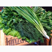 Зелень свежая: укроп, петрушка, кинза, лук зеленый, салат листовой