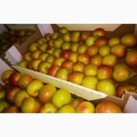 Яблоки Фуджи, сорт 1, калибр 65-70 от 10 тонн в картонном лотке 60х40, вес 13-15кг мытые