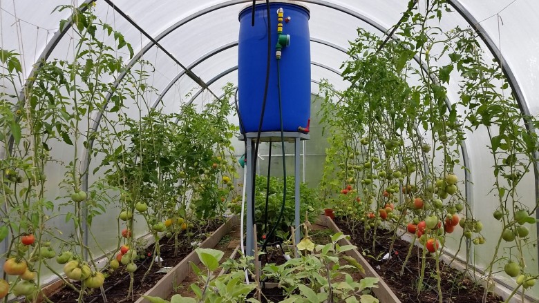 Фото 4. Система капельного полива растений в теплице КПК 24 готовый набор под ключ