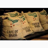 Зеленый кофе арабика бразилия brazil arabica santos, ny 2, scr 17-18, ss, fc, crop 2018/19