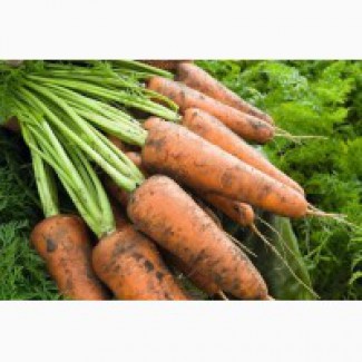 Семена Морковь Кордоба F1 (100000шт)фр.1, 6-1, 8 ВЕ