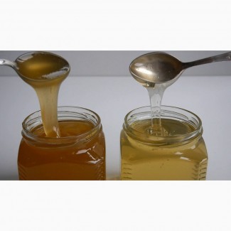 Мед алтайский (свежий урожай) широкий ассортимент