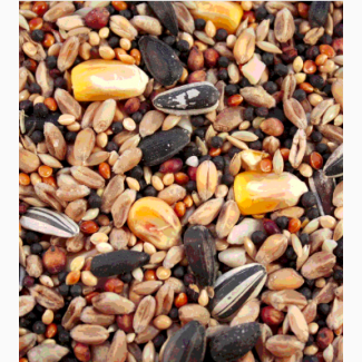 ООО «Атлантис» предлагает зерносмесь: пшеница, кукуруза, просо, семечка (в мешках)