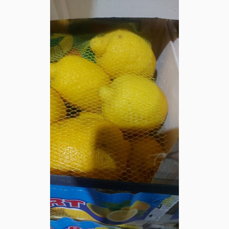 Фото 4. Лимоны оптом 1-2 сорта