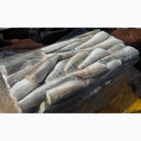 Предлагаю замороженную рыбу хек, тушка (Аргентина)