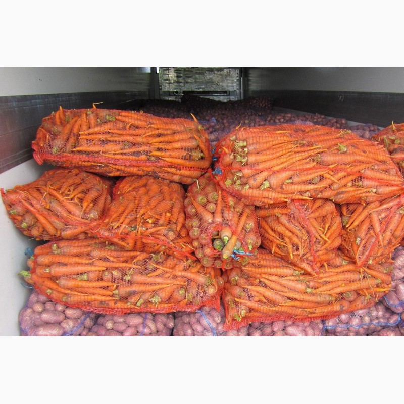 Фото 4. Морковь оптом от производителя от 20 тонн