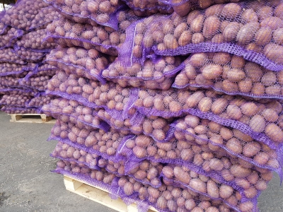 Картофель, морковь, свекла от производителя оптом в Брянске. Доставка по РФ. Экспорт