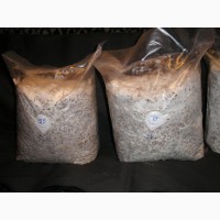 Пакеты п/этиленовые для субстратов грибов