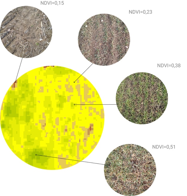 Фото 10. Фактический замер полей, прогноз урожайности, дифференцированное внесение удобрений