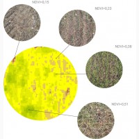 Фактический замер полей, прогноз урожайности, дифференцированное внесение удобрений