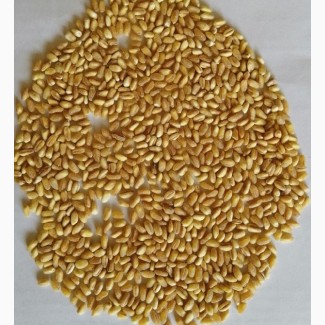 Крупа пшеничная Полтавская 1