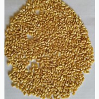 Крупа пшеничная Полтавская 1