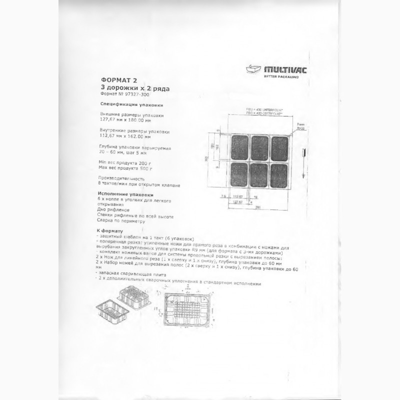 Фото 3. Термоформер Multivac R245 в комплекте с этикетировщиками и двумя типами форм