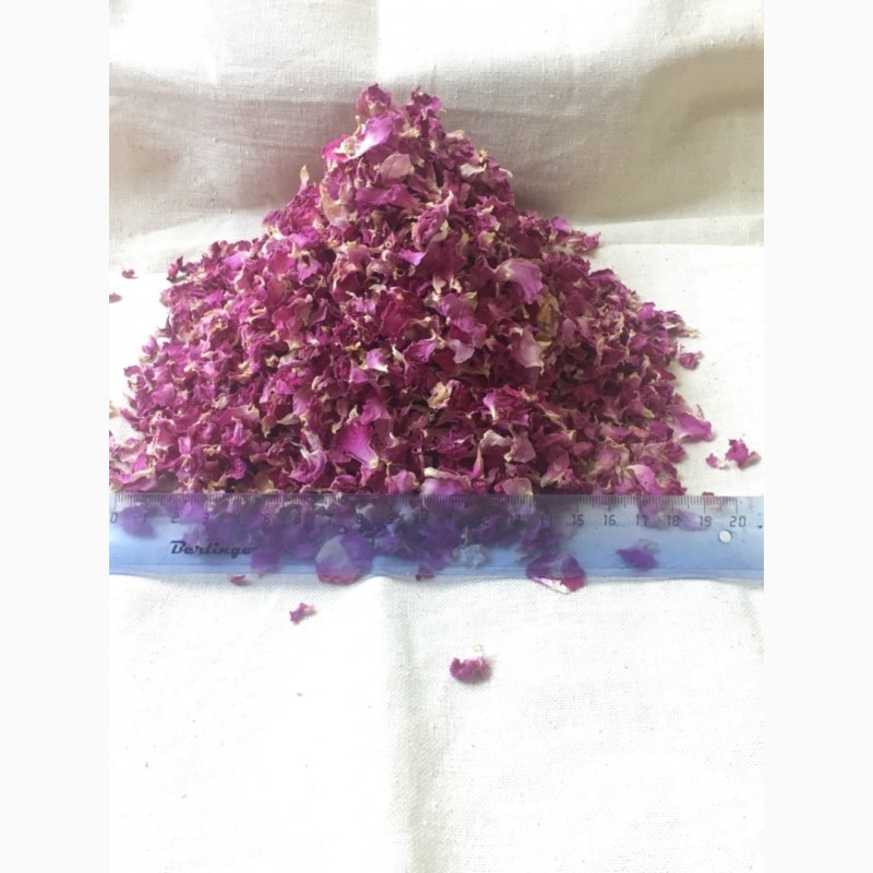 Фото 3. Продаю сухие лепестки крымской эфиромасличной розы